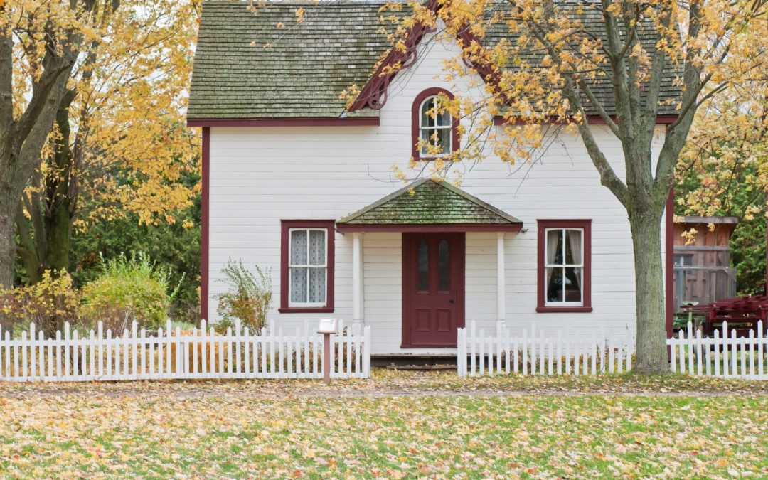 fall color palette